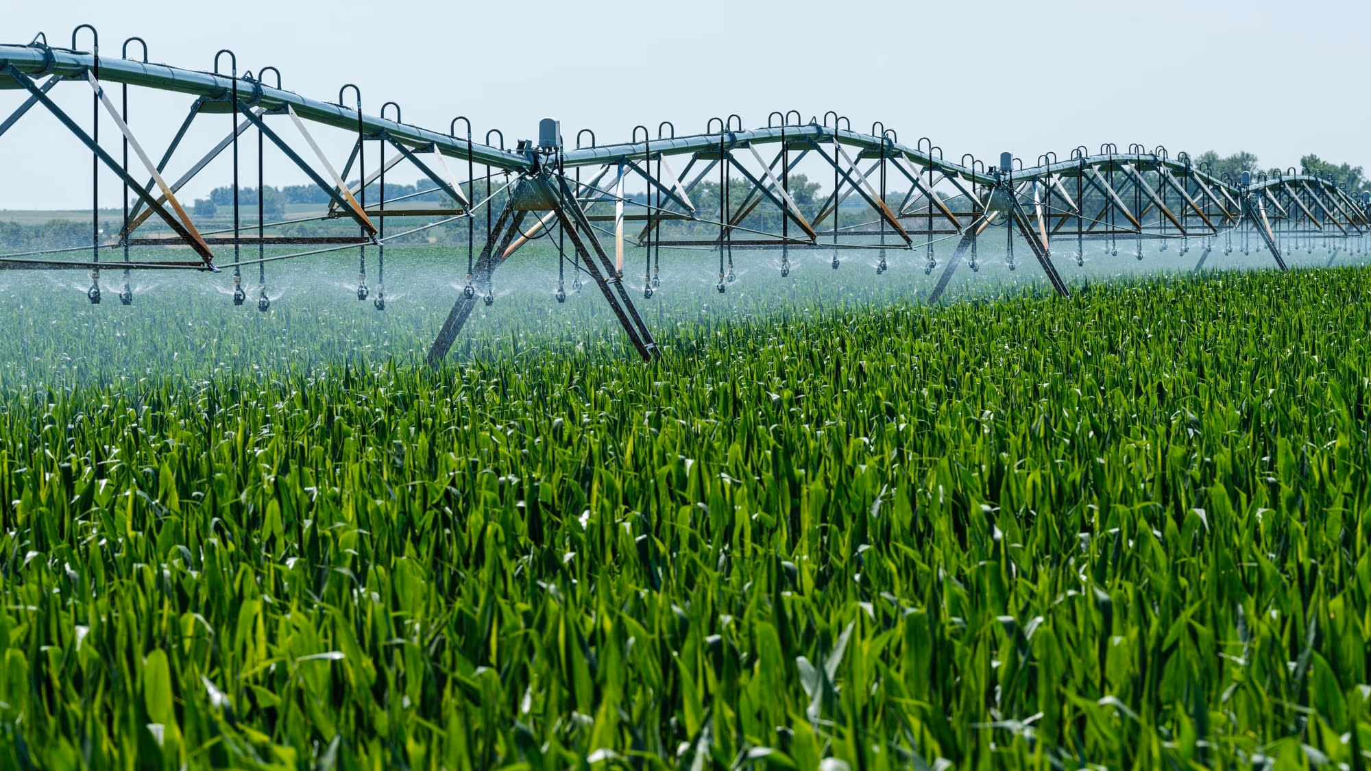 Irrigation Construction